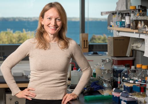 Dr. Barbara Bendlin