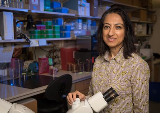 Nasia Safdar in lab